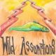 WILD ASSUMPTIONS- s/t 7