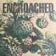 ENCROACHED- 
