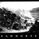 SAWHORSE- S/T 7